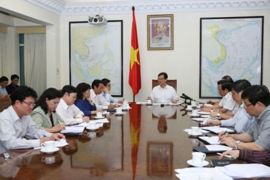  'Cứ để người dân lao đi mua hạt mùi… tác dụng rất có hạn'